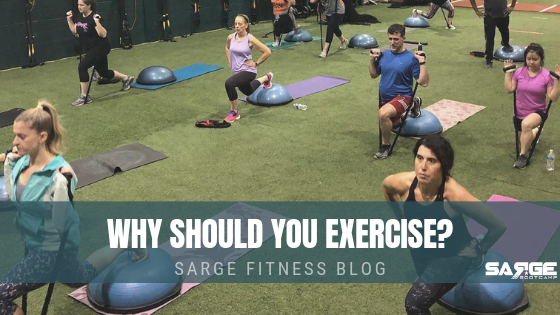 You are currently viewing Why should you exercise?